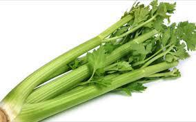 ΣΕΛΕΡΙ (SELERY, ΒΛΑΣΤΟΣΕΛΙΝΟ) TALL UTAH