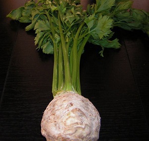 ΣΕΛΙΝΟΡΙΖΑ PRAGER GIANT