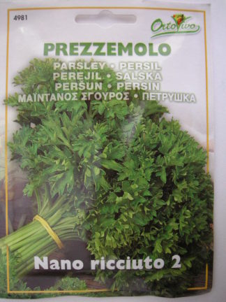 ΜΑΪΝΤΑΝΟΣ ΣΓΟΥΡΟΣ ( ΦΡΙΖΕ )