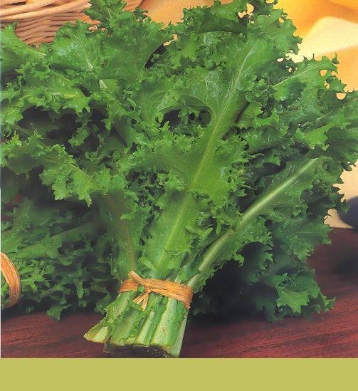 ΑΝΤΙΔΙ ΨΗΛΟ ΨΑΛΙΔΩΤΟ ROMANESCA