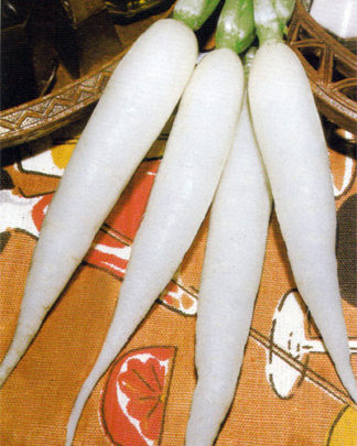 ΡΑΠΑΝΙ ΜΑΚΡΥ ΑΣΠΡΟ GHIACCIO