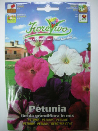 ΠΕΤΟΥΝΙΑ ΓΙΓΑΣ