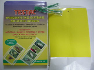 ΚΙΤΡΙΝΕΣ ΠΑΓΙΔΕΣ ΜΕ ΚΟΛΛΑ TESTAC (colortrap)