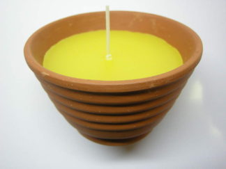 ΑΝΤΙΚΟΥΝΟΥΠΙΚΟ ΓΛΑΣΤΡΑΚΙ