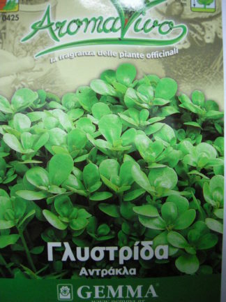 ΓΛΥΣΤΡΙΔΑ ( ΑΝΤΡΑΚΛΑ )