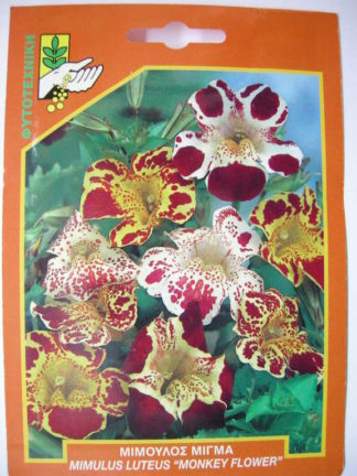 ΜΙΜΟΥΛΟΣ ( MONKEY FLOWER )