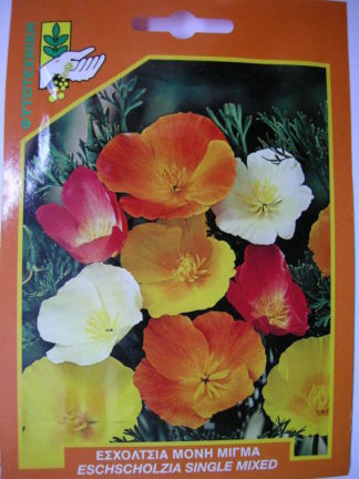 ΕΣΧΟΛΤΣΙΑ ΜΟΝΗ ΜΙΓΜΑ