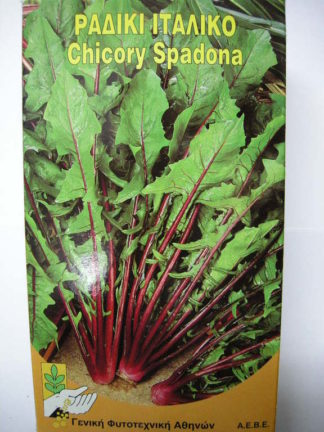 ΡΑΔΙΚΙ ΙΤΑΛΙΚΟ  500 γραμ.