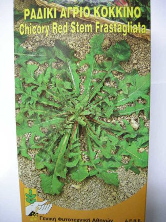 ΡΑΔΙΚΙ ΑΓΡΙΟ ΚΟΚΚΙΝΟ 500 γραμ.