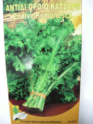 ΑΝΤΙΔΙ ΨΗΛΟ ΨΑΛΙΔΩΤΟ ROMANESCA  500 γραμ