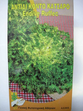 ΑΝΤΙΔΙ ΚΟΝΤΟ ΠΟΛΥ ΚΑΤΣΑΡΟ RUFFEC   500 γραμ.
