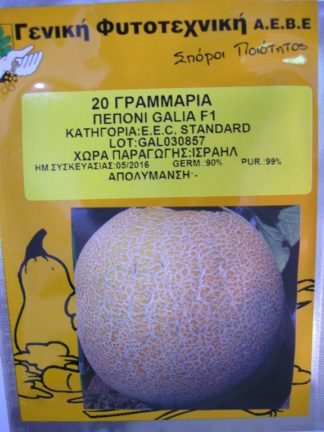 ΠΕΠΟΝΙ GALIA F1 500 σπόρων.