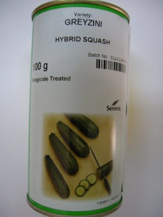 ΚΟΛΟΚΥΘΑΚΙ GREYZINI F1 100 γραμ.