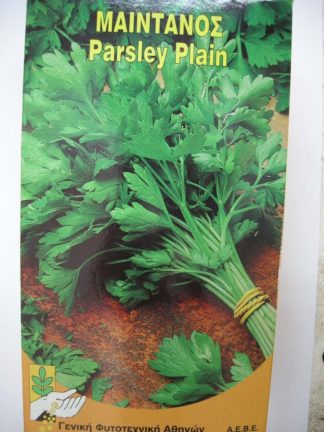ΜΑΪΝΤΑΝΟΣ PLAIN AROMIX ΠΛΑΤΥΦΥΛΛΟΣ 500 γραμ.