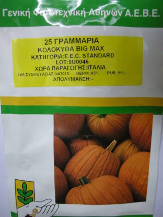 ΚΟΛΟΚΥΘΑ BIG MAX 25 γραμ.