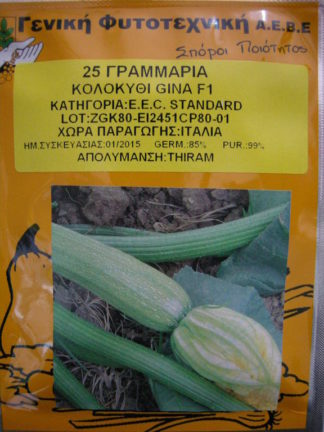 ΚΟΛΟΚΥΘΑΚΙ GINA F1 25 γραμ.