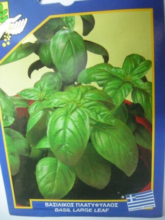 ΒΑΣΙΛΙΚΟΣ ΠΛΑΤΥΦΥΛΛΟΣ