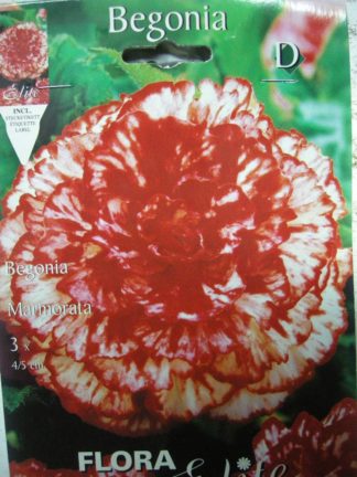 ΒΙΓΟΝΙΑ ΔΙΧΡΩΜΗ MARMORATA