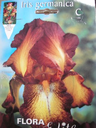ΙΡΙΔΑ GERMANICA BRONZE