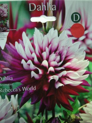 ΝΤΑΛΙΑ REBECCA'S WORLD