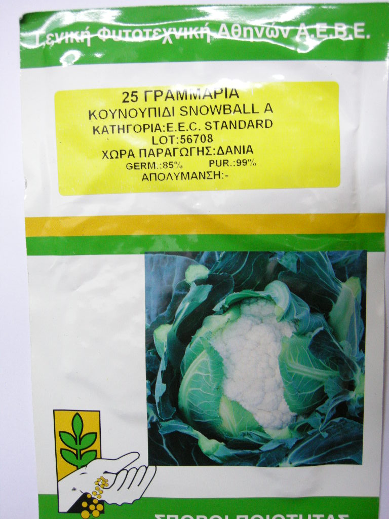 ΚΟΥΝΟΥΠΙΔΙ SNOWBALL Χ, 25 γραμ.