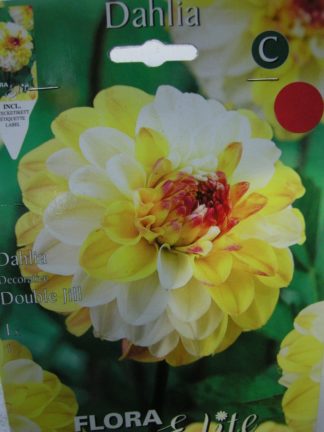 ΝΤΑΛΙΑ DOUBLE JILL