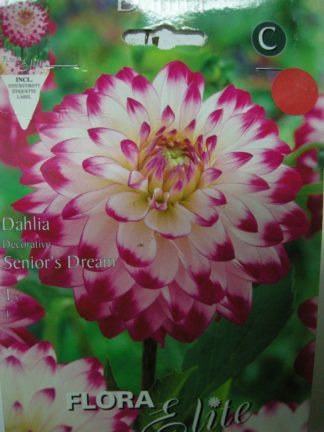 ΝΤΑΛΙΑ SENIOR'S DREAM