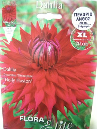 ΝΤΑΛΙΑ ΓΙΓΑΣ HOLLY HUSTON