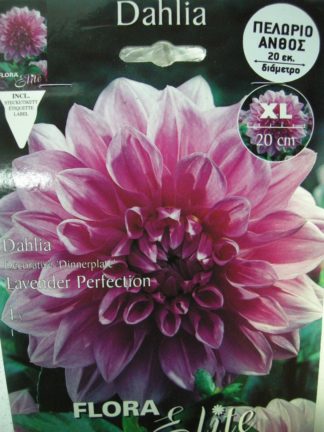 ΝΤΑΛΙΑ ΓΙΓΑΣ LAVENDER PERFECTION