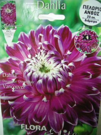 ΝΤΑΛΙΑ ΓΙΓΑΣ VANCOUVER