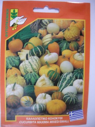 ΚΟΛΟΚΥΘΑΚΙ ΚΑΛΛΩΠΙΣΤΙΚΟ