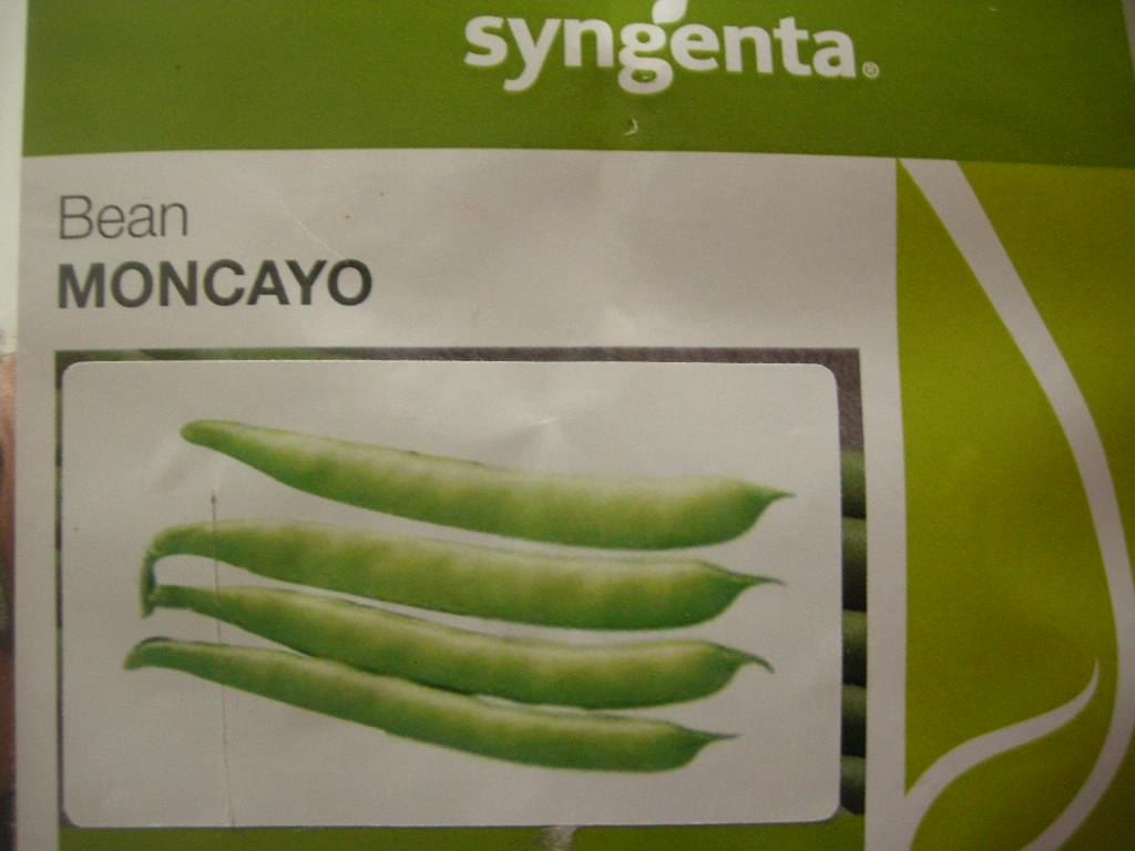 ΦΑΣΟΛΙ ΝΑΝΟ MONCAYO - Image 2