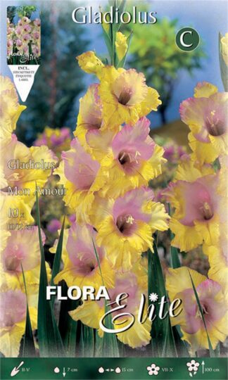 ΓΛΑΔΙΟΛΑ MON AMOUR